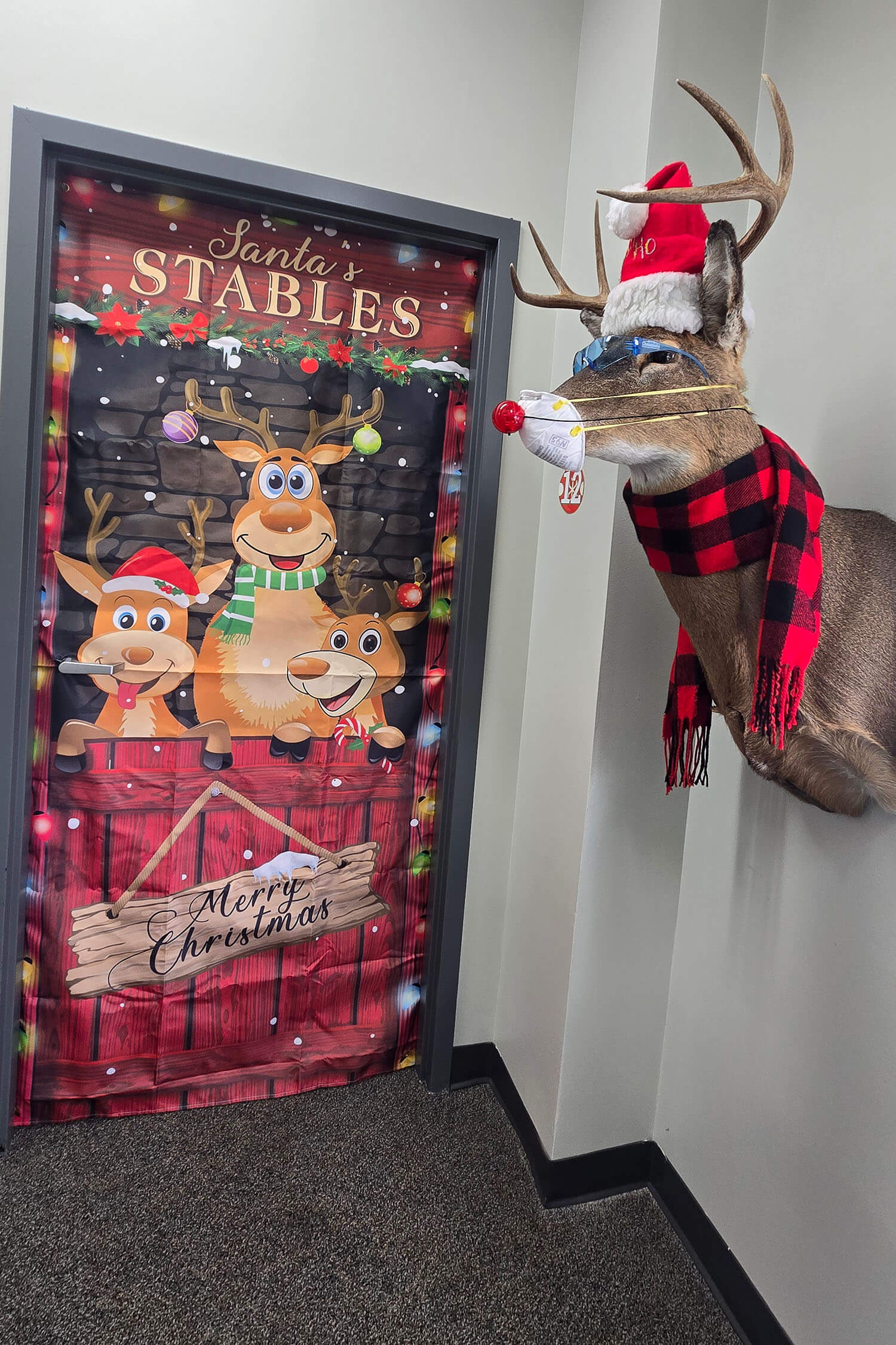 Door 12